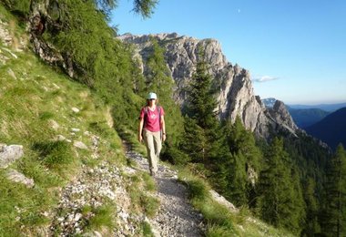 Die gesamten Alpen in einem Klick